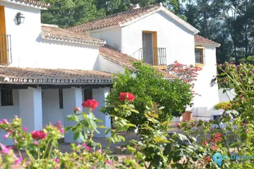 8 bedroom House for Sale in Gaucín-41324