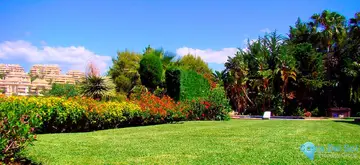 6 bedroom House for Sale in Elviria-41530
