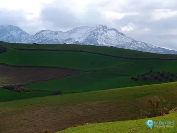 3130000m2 Plot for Sale in Ardales