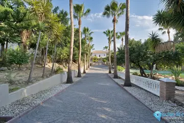 9 bedroom House for Sale in Benalmadena-41775