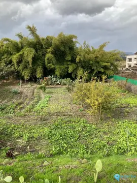 2450m2 Plot for Sale in Casares-42824