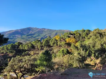 8743m2 Plot for Sale in La Zagaleta-42868