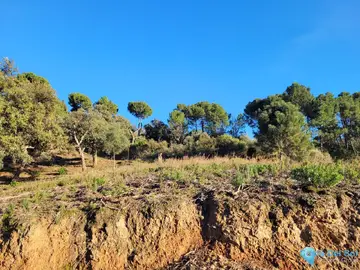 8743m2 Plot for Sale in La Zagaleta-42871