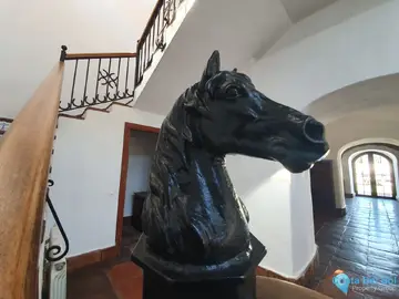 11 bedroom House for Sale in San Enrique-43447