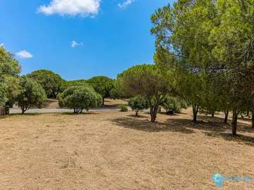 10978m2 Plot for Sale in Sotogrande Alto-43691