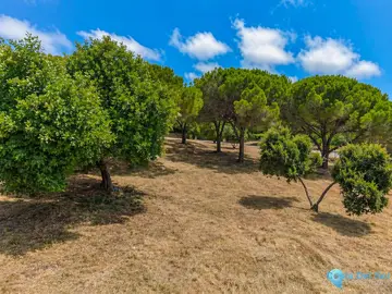10978m2 Plot for Sale in Sotogrande Alto-43695