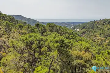 265000m2 Plot for Sale in Benahavís-43991