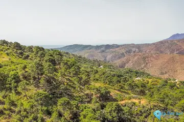 265000m2 Plot for Sale in Benahavís-43993