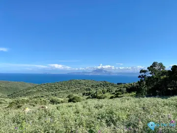 7 bedroom House for Sale in Tarifa-45815