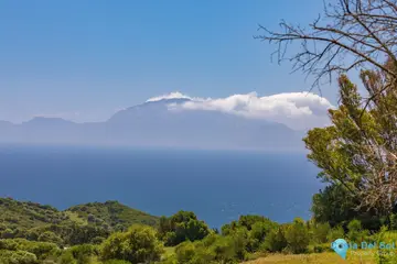 7 bedroom House for Sale in Tarifa-45817