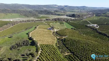 273764m2 Plot for Sale in Casares