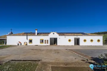 7 bedroom House for Sale in Jimena de la Frontera-46919