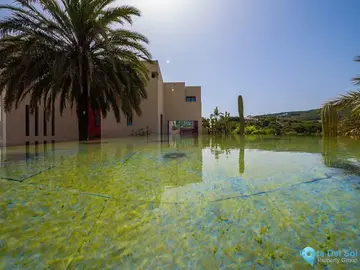 5 bedroom House for Sale in Sotogrande Alto-47157