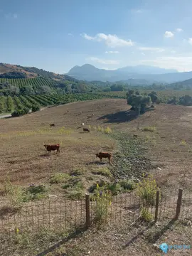11192706m2 Plot for Sale in Jimena de la Frontera
