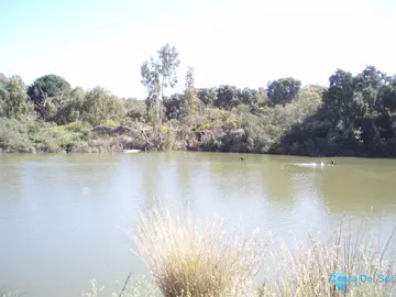 430000m2 Plot for Sale in Mijas