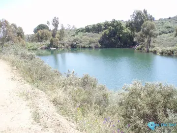 430000m2 Plot for Sale in Mijas-48222