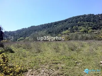 1000000m2 Plot for Sale in Casares-48507