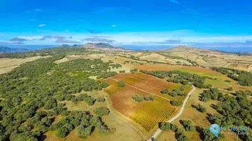 7 bedroom House for Sale in Ronda-49412