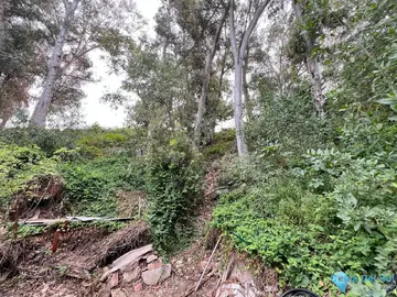 1469m2 Plot for Sale in Málaga