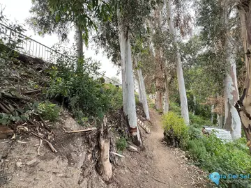 1469m2 Plot for Sale in Málaga-101848