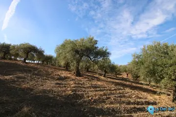 9283m2 Plot for Sale in Tolox-58694