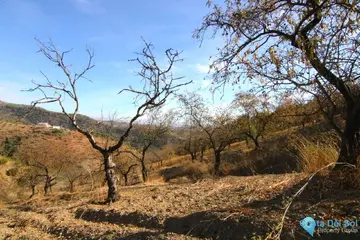 9283m2 Plot for Sale in Tolox-58681