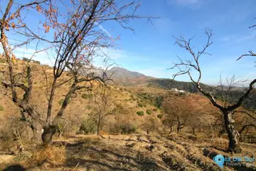 9283m2 Plot for Sale in Tolox-58682