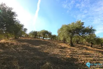 9283m2 Plot for Sale in Tolox-58692