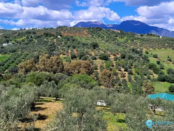 10390m2 Plot for Sale in Guaro