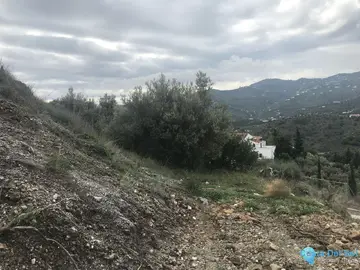 1568m2 Plot for Sale in Frigiliana