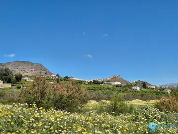 6400m2 Plot for Sale in Alora-58755