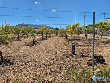 6400m2 Plot for Sale in Alora-58758