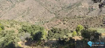 6000m2 Plot for Sale in Monda-58776