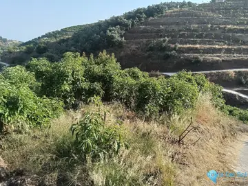 634m2 Plot for Sale in Frigiliana