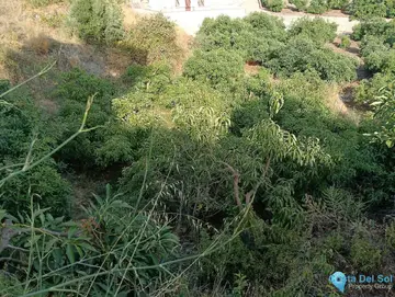 634m2 Plot for Sale in Frigiliana-58782