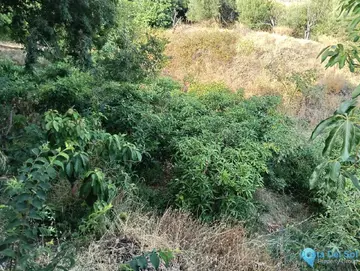 634m2 Plot for Sale in Frigiliana-58783