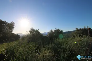 16063m2 Plot for Sale in Tolox-58804