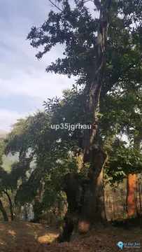 30000m2 Plot for Sale in Genalguacil