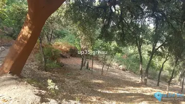 30000m2 Plot for Sale in Genalguacil-58851