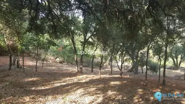 30000m2 Plot for Sale in Genalguacil-58853