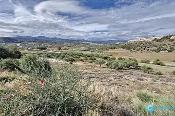 612m2 Plot for Sale in Coín-58898