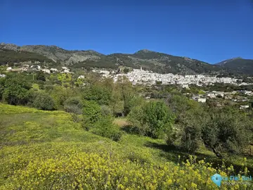 6037m2 Plot for Sale in Casarabonela