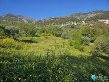 6037m2 Plot for Sale in Casarabonela-58927