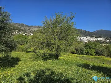 6037m2 Plot for Sale in Casarabonela-58929