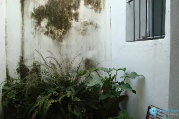 3 bedroom House for Sale in Jimena de la Frontera-58961