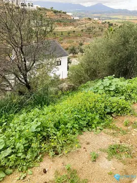 660m2 Plot for Sale in Coín-59067