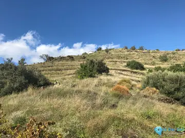 10746m2 Plot for Sale in Nerja-59103