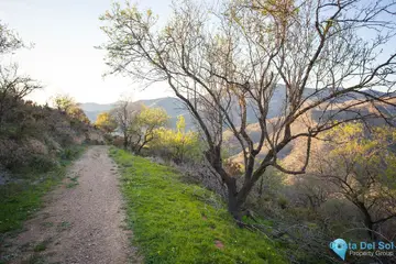 30000m2 Plot for Sale in Moclinejo-59108