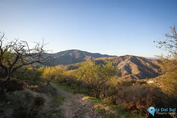 30000m2 Plot for Sale in Moclinejo-59112