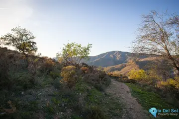 30000m2 Plot for Sale in Moclinejo-59114